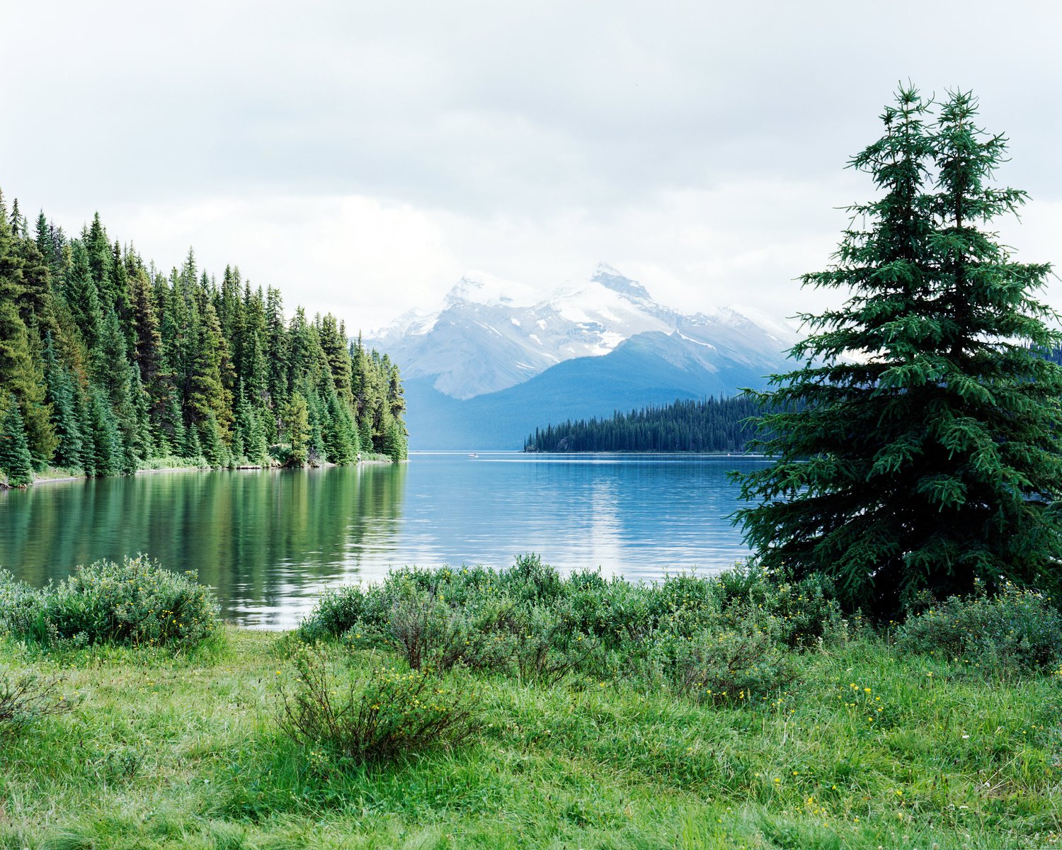Turquoise lake surrounded by evergreens and distant mountains