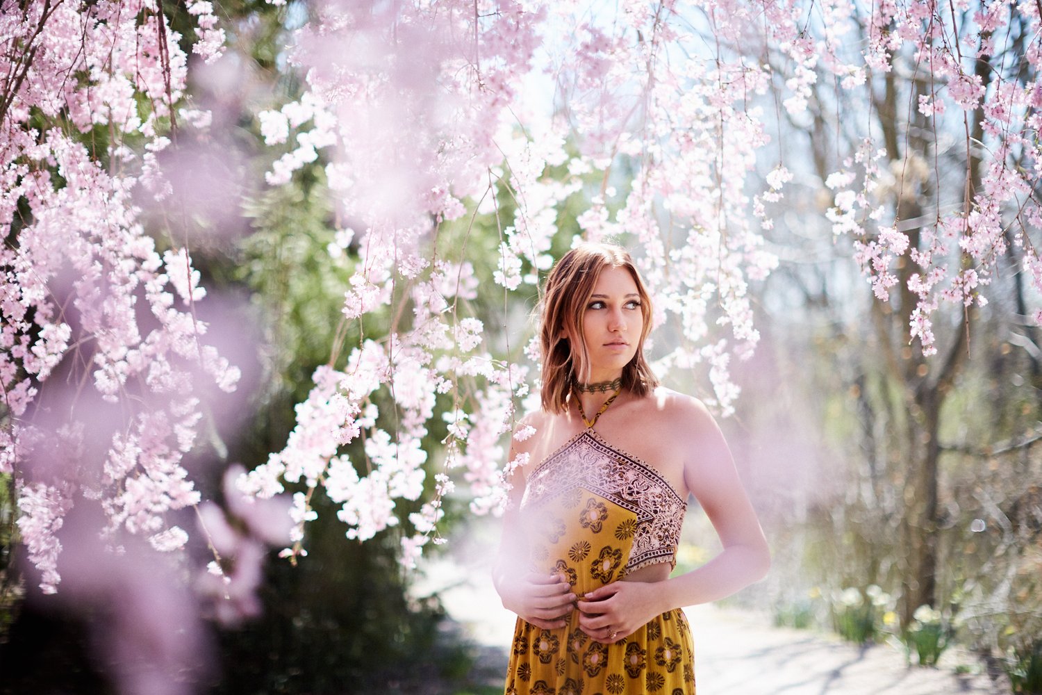 Portrait of a woman beneath a tree in bloom